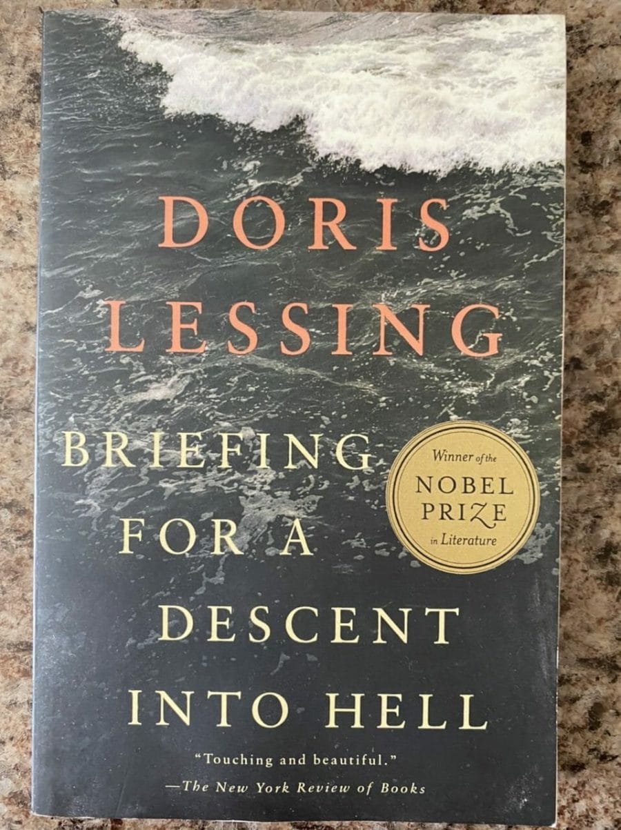 Book cover for Briefing For A Descent Into Hell