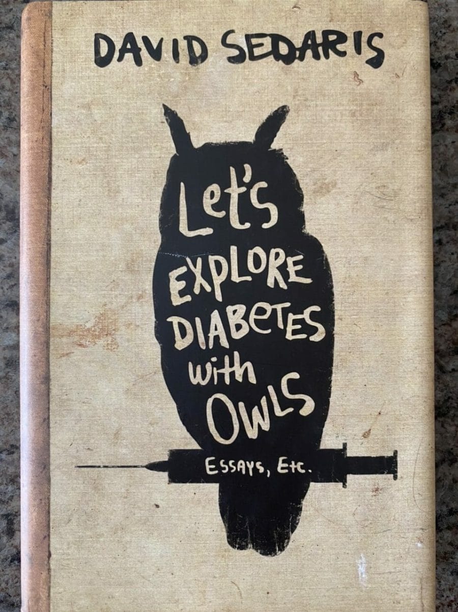 Book cover for Let's Explore Diabetes with Owls.