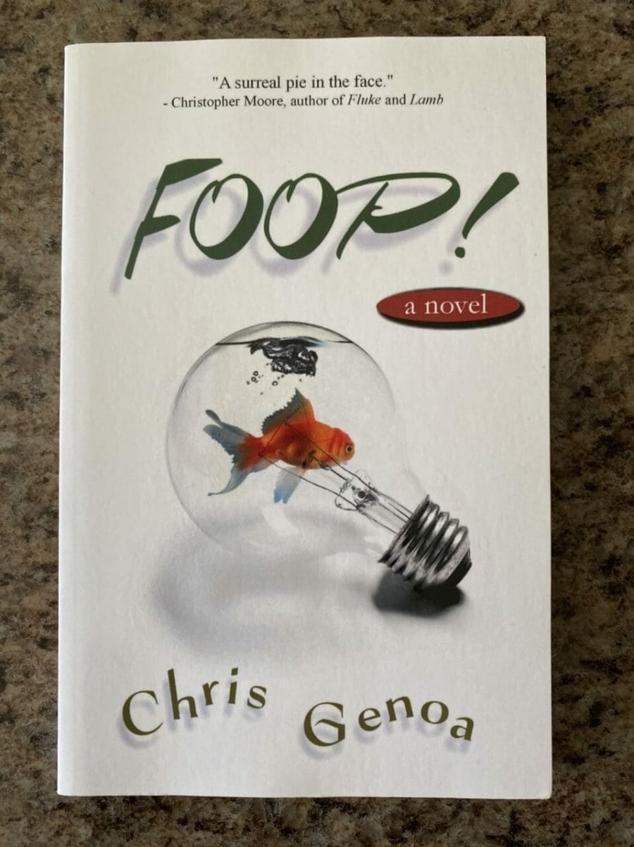 Book cover for Foop!