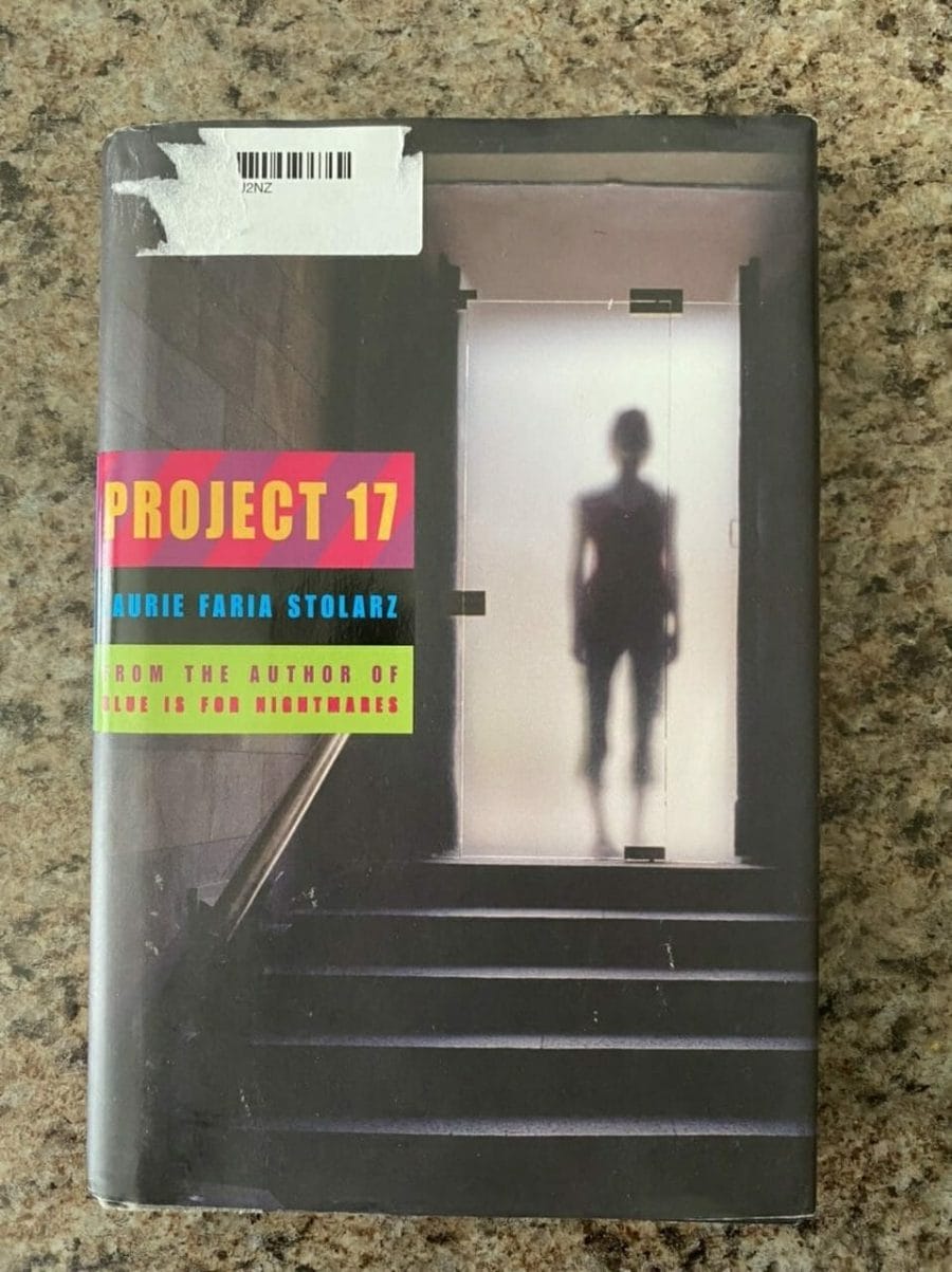 Book cover for Project 17