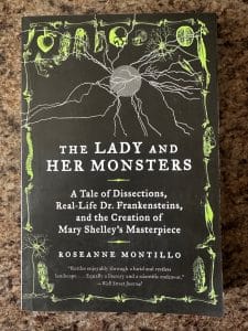 Book cover for The Lady and her Monsters